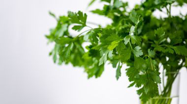 garnishing-instructions-image